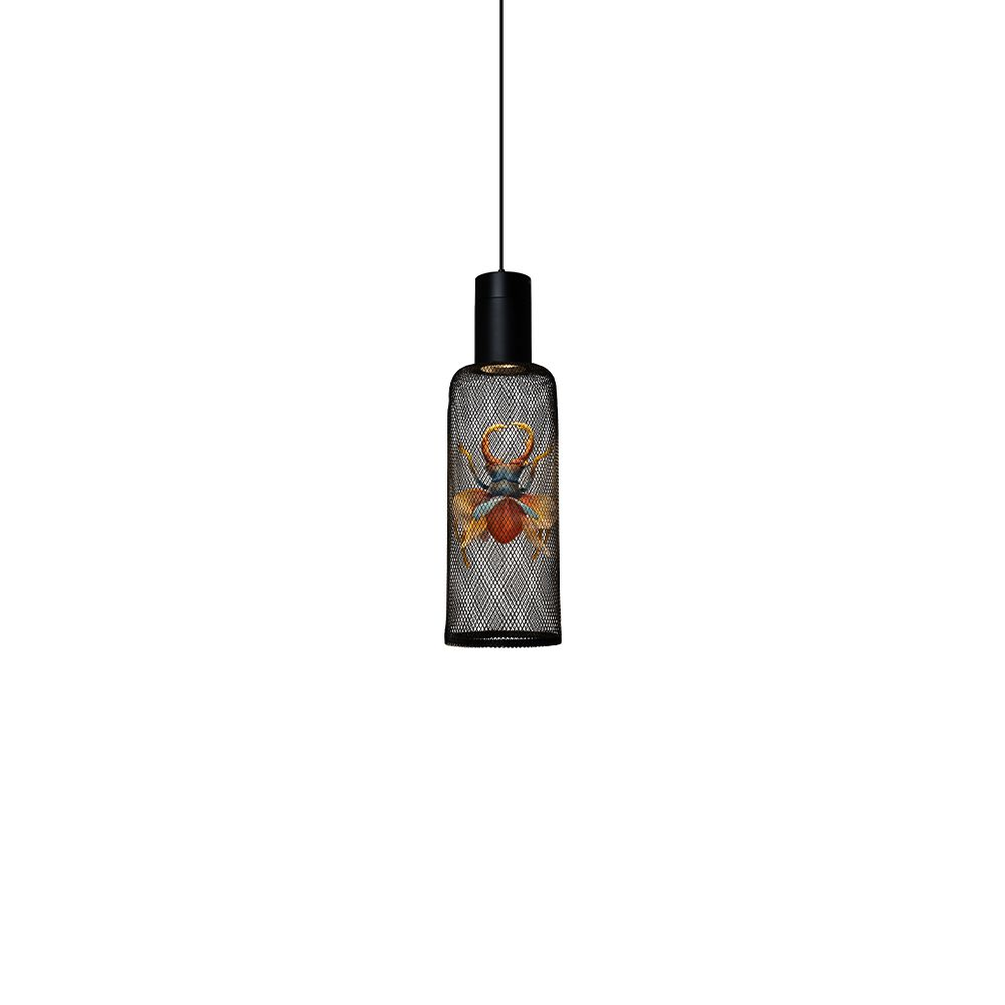 Curio 27 Inch Mini Pendant,