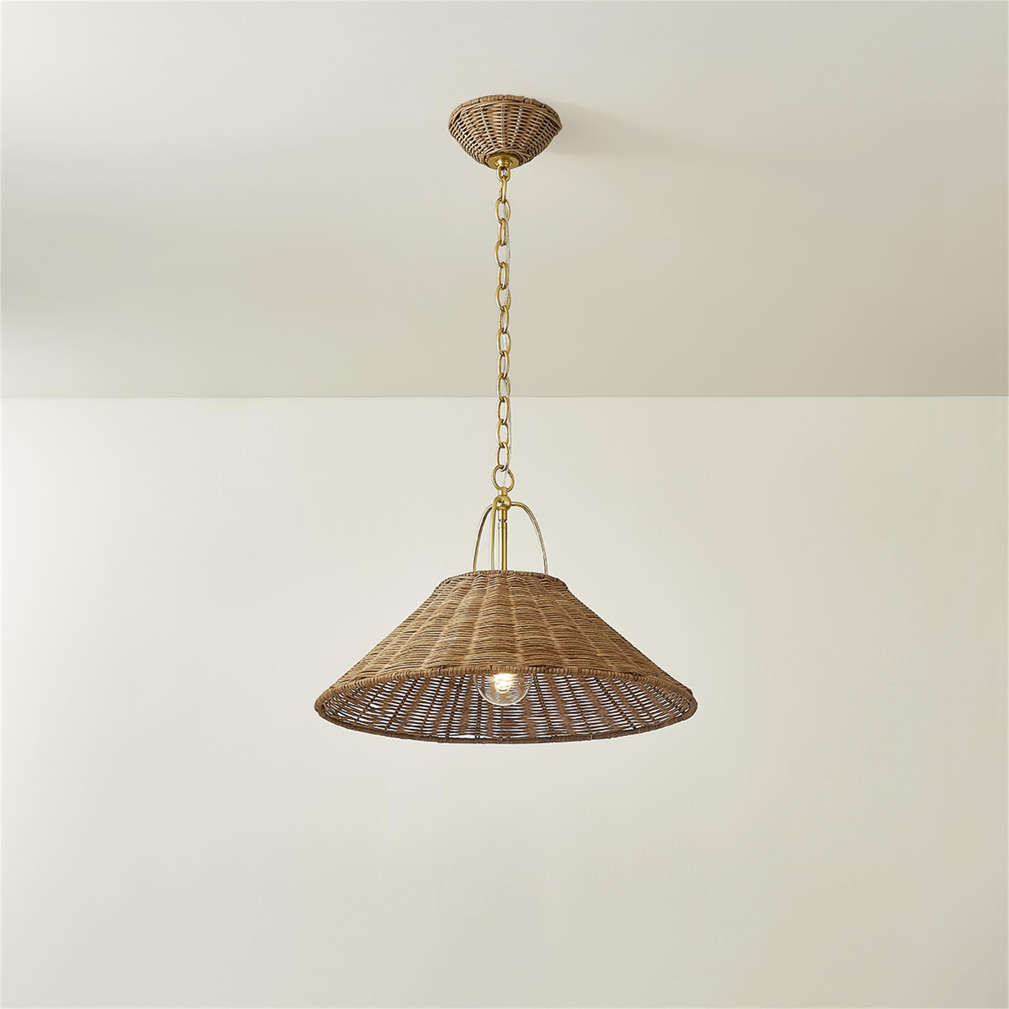 Zoe Feldman Davida Small Pendant Light,