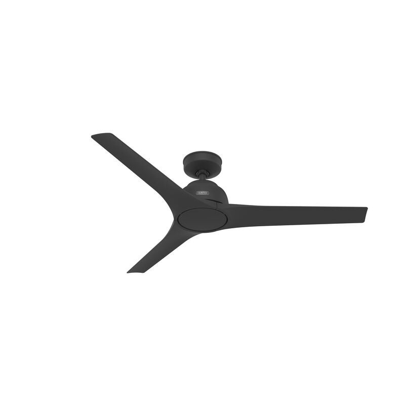 Gallegos 52 Inch Ceiling Fan by Hunter Fan