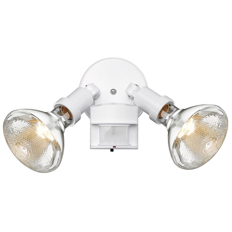 150 Watt Outdoor Flood Light by Acclaim Lighting