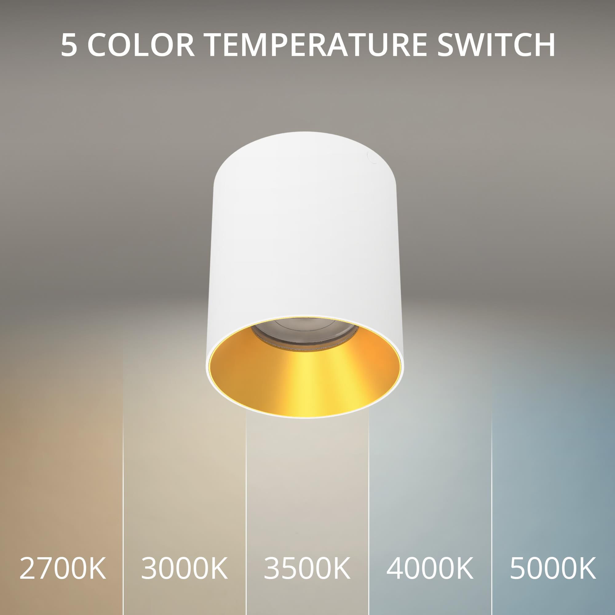 Shown in White and Gold finish