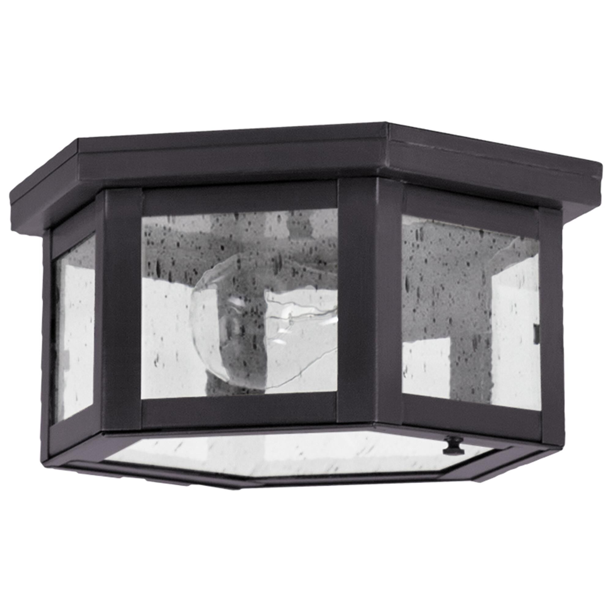 Williams 10 Inch Outdoor Flush Mount,
