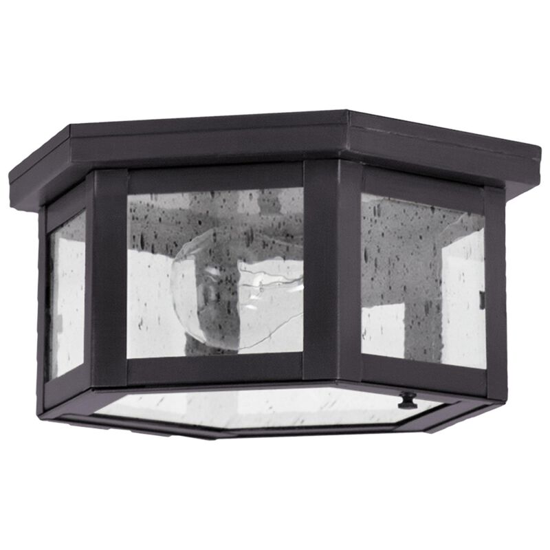 Williams 10 Inch Outdoor Flush Mount by Northeast Lantern