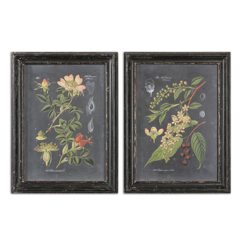 Midnight Botanicals Print by Uttermost