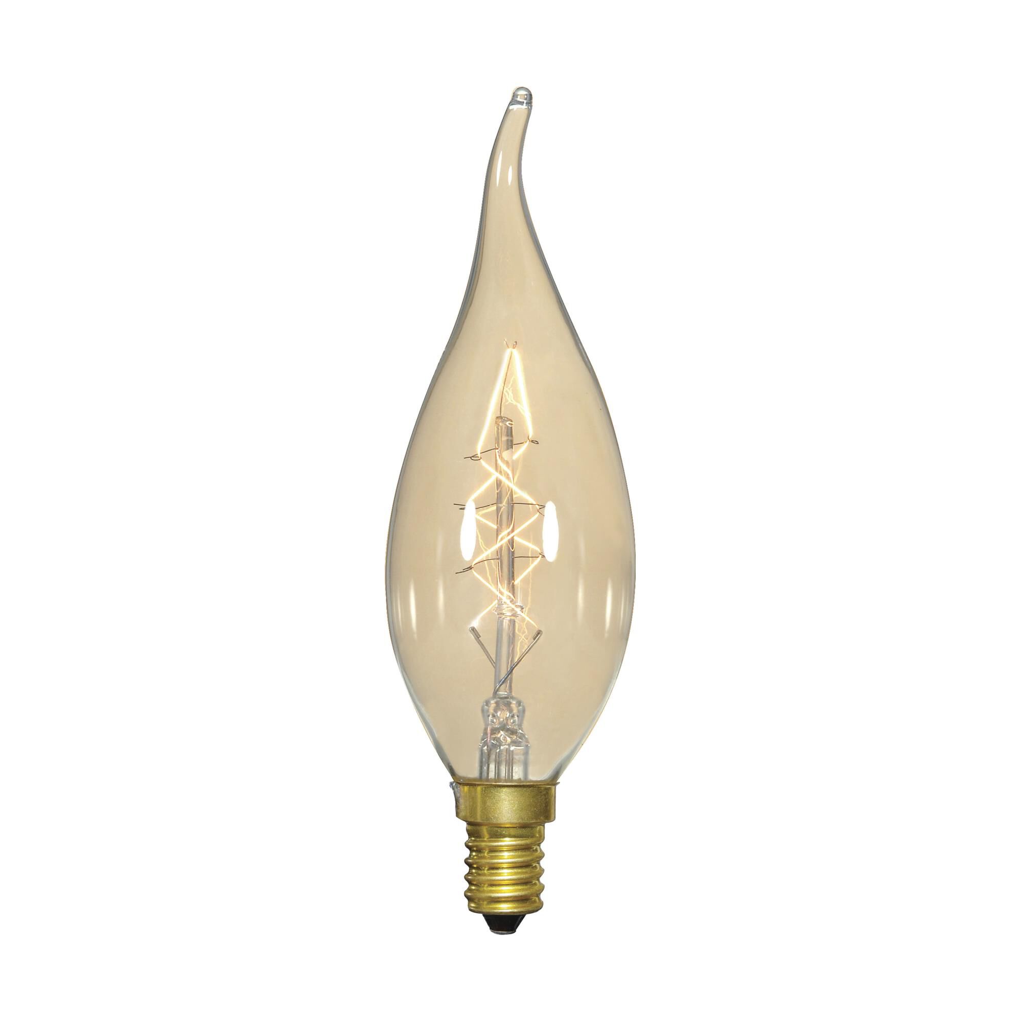 25 Watt Vintage Light Bulb,