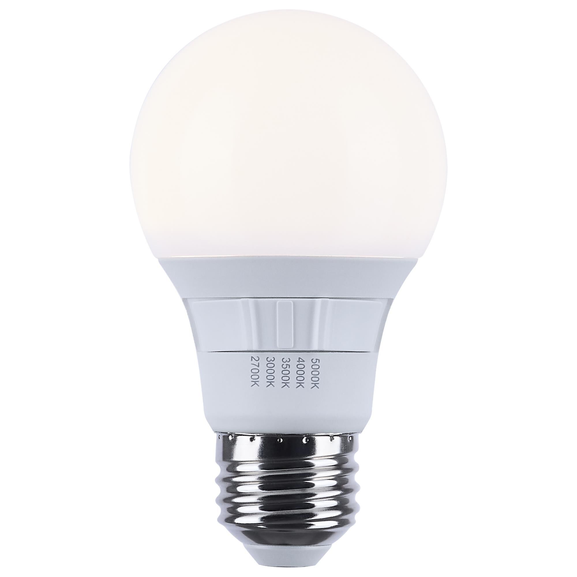 6 Watt 2700K A19 LED Light Bulb,