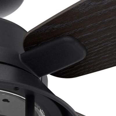 Hunter Fan Port Royale Ceiling Fan