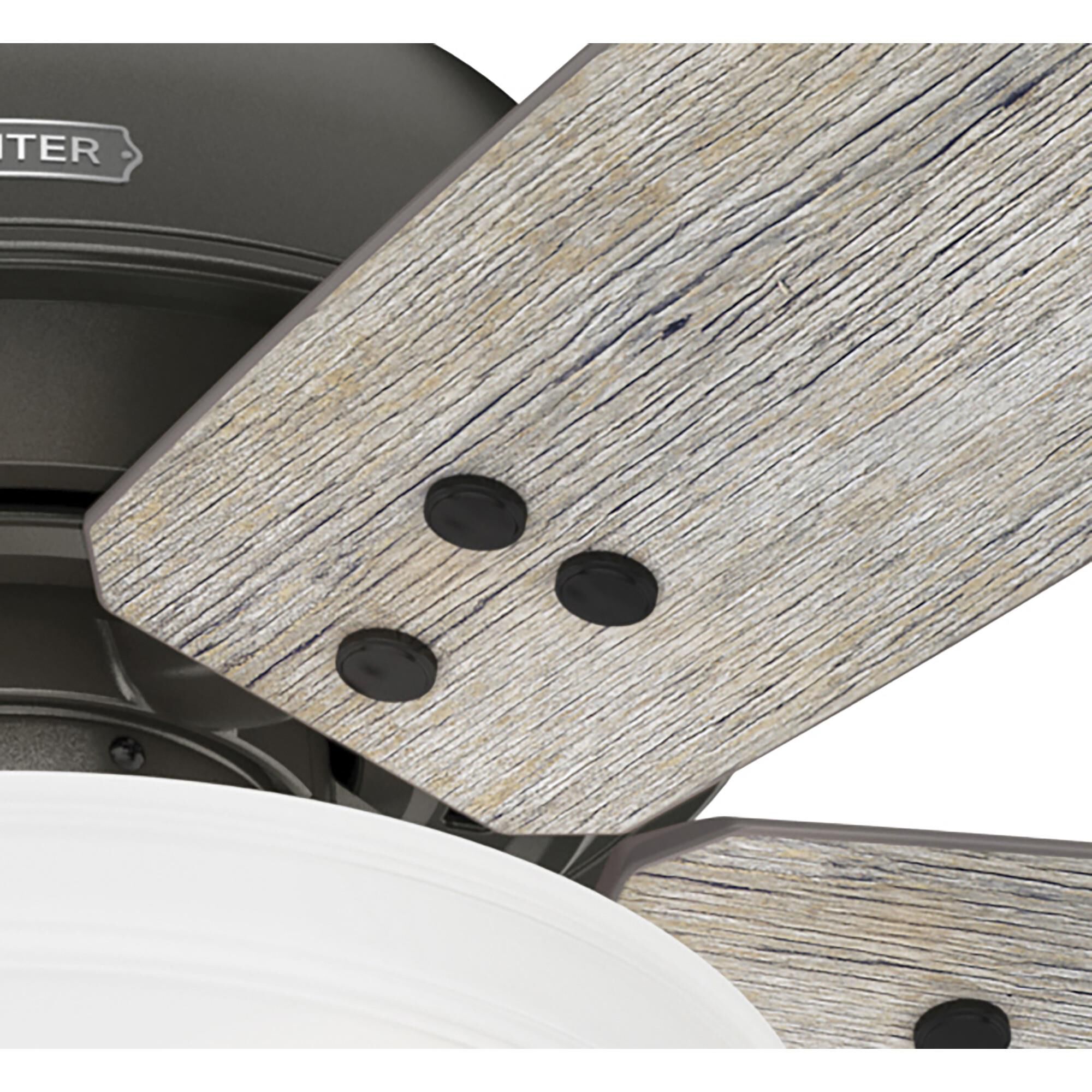 Reveille 60 Inch Ceiling Fan with Light Kit by Hunter Fan