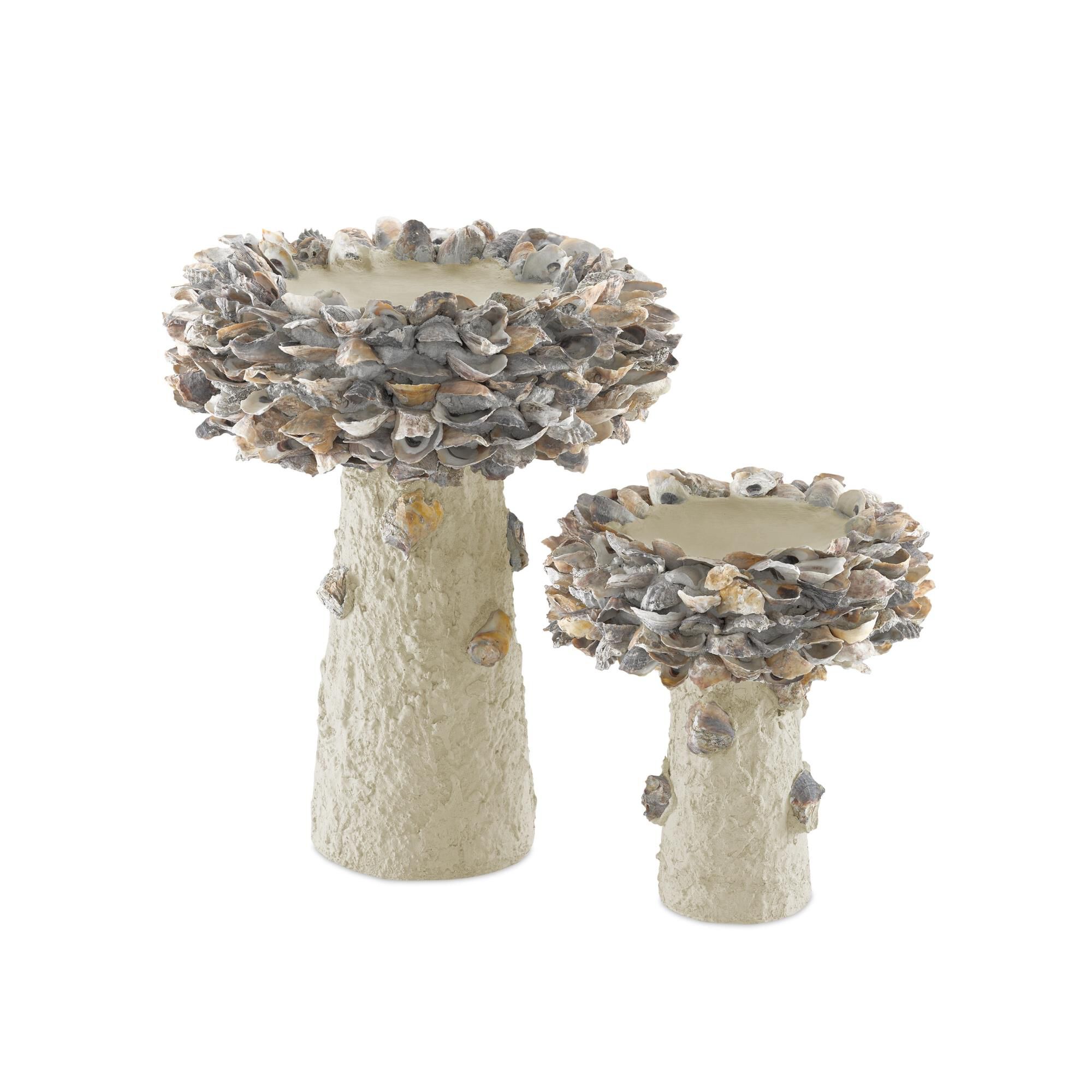 Oyster Shell Small Bird Bath Other Home Accent by Currey and Company
