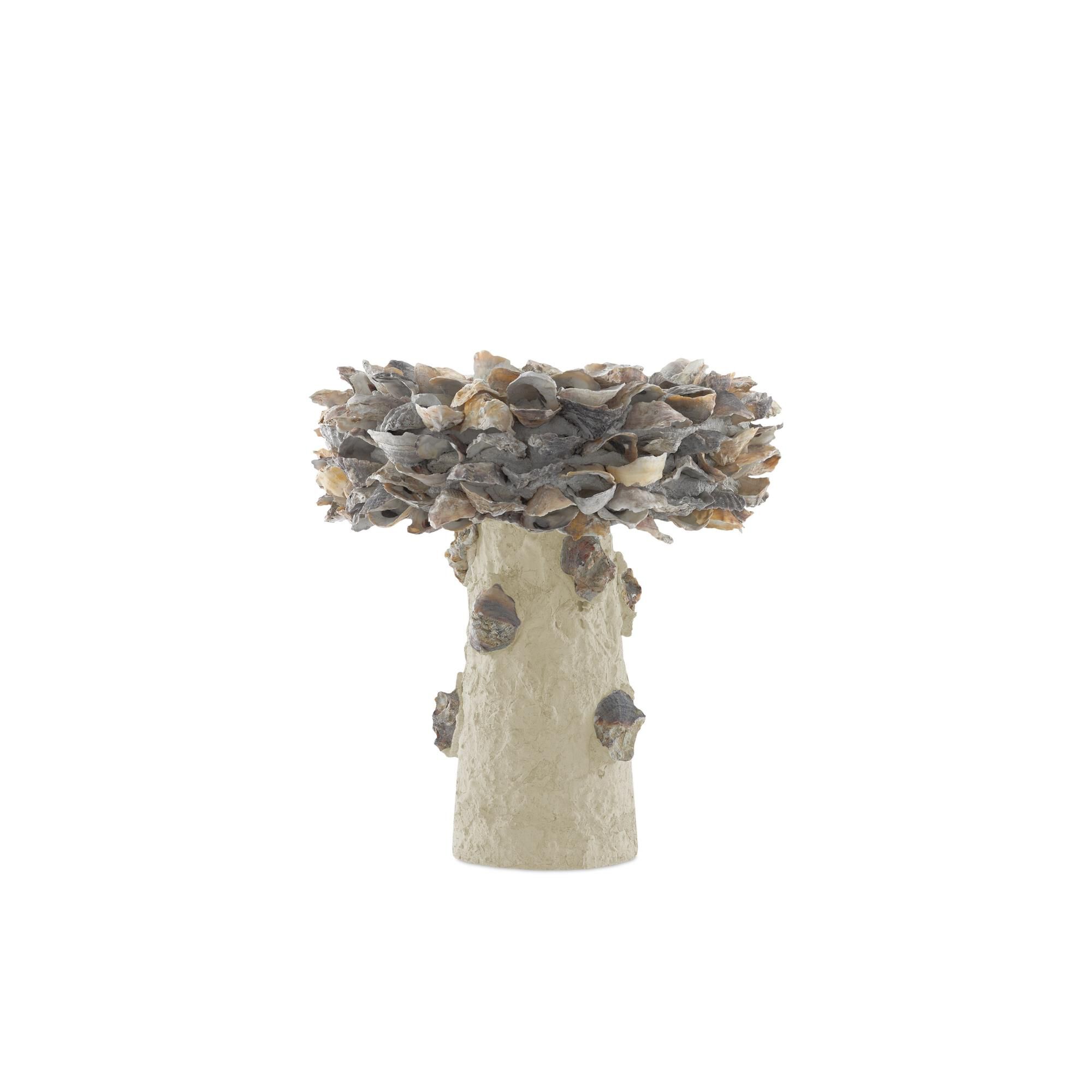 Oyster Shell Small Bird Bath Other Home Accent by Currey and Company