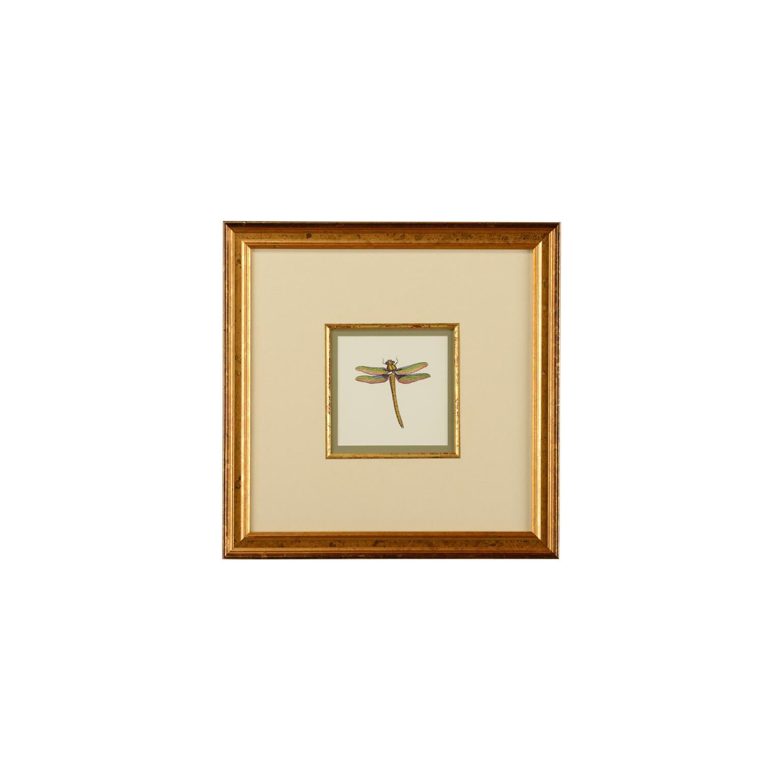 MINIATURE DRAGONFLY I Print by Chelsea House