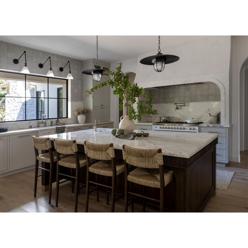 Acme 22 Inch Large Pendant by Troy Lighting