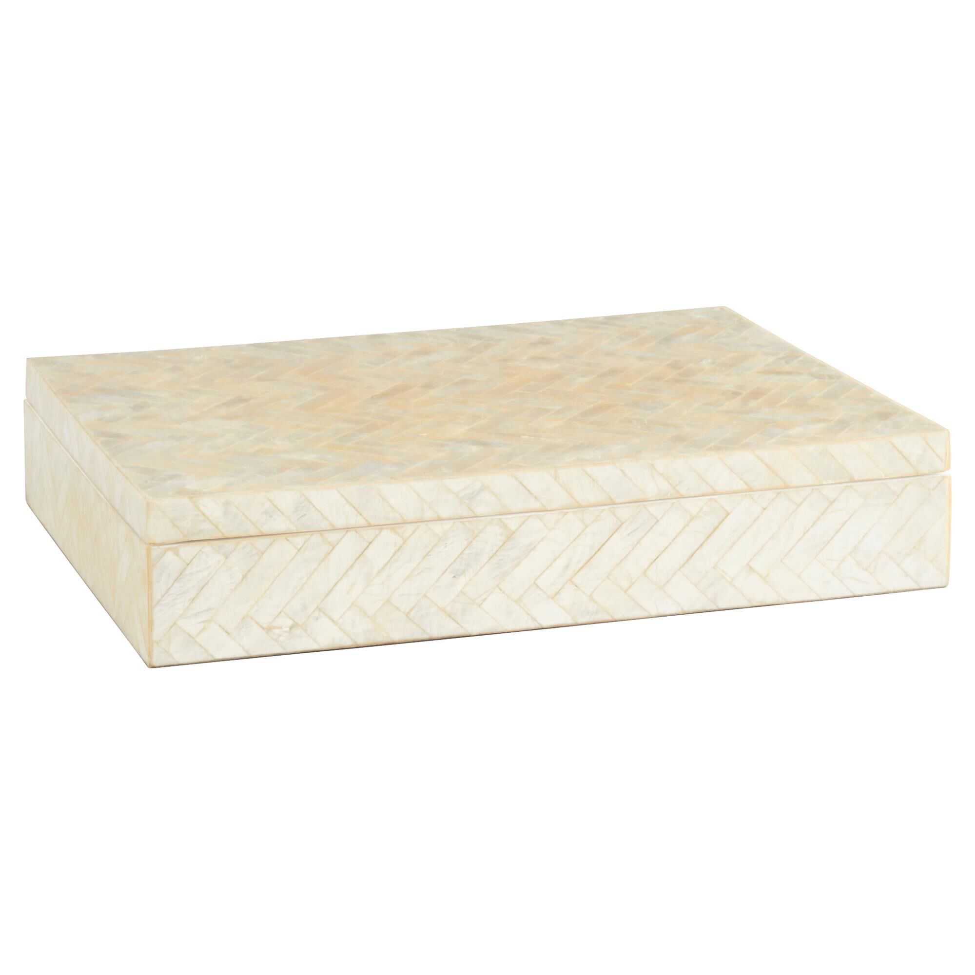 Triton 12 Inch Accent Box by Cyan Designs