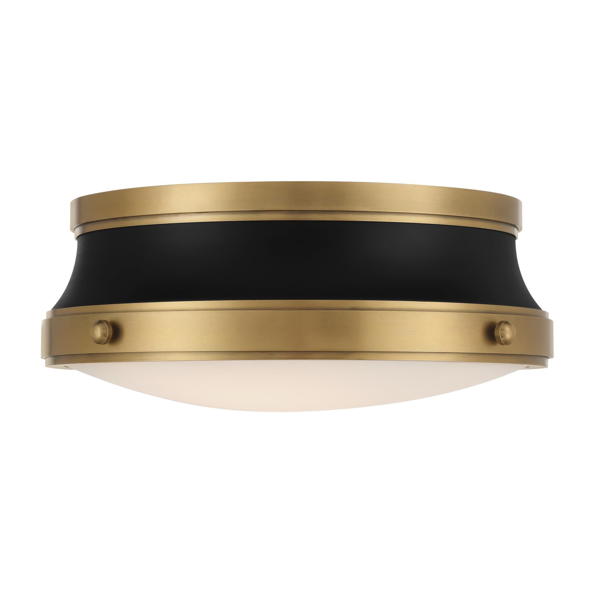 Purelight 15 Inch Flush Mount by Minka Lavery