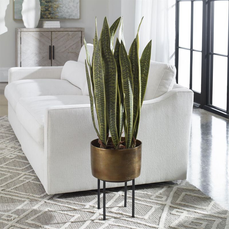 Fasita Botanical by Uttermost