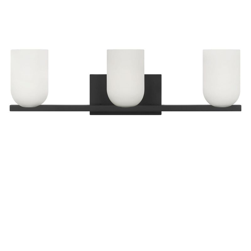 Neblina 22 Inch Bath Vanity Light by Generation Lighting