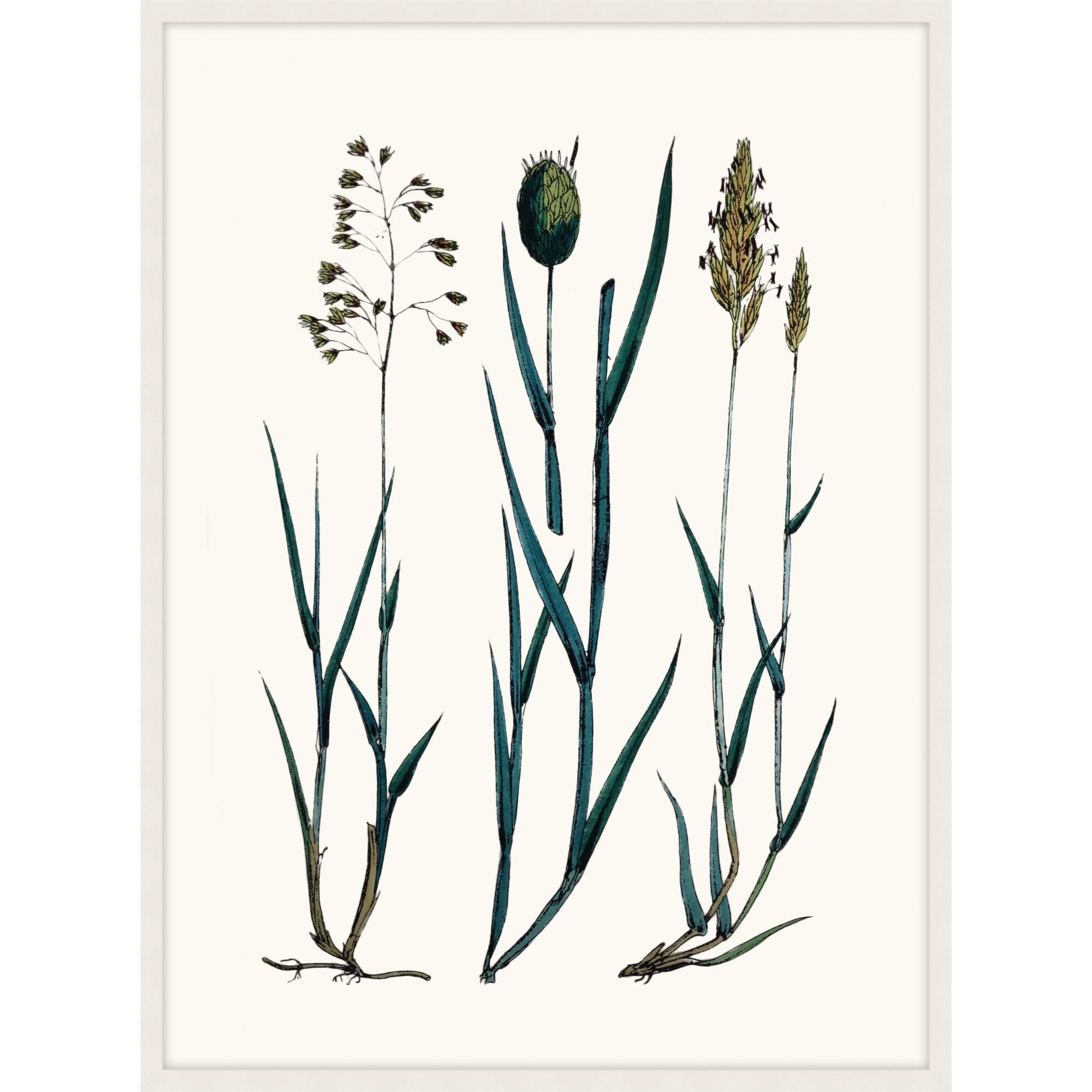 Studio L57 Nouvelle Careful In Contemplation Print by LEVEL57