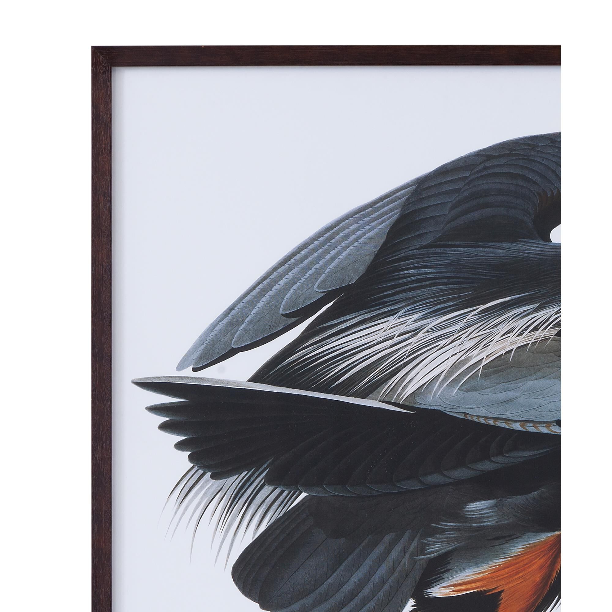 Audubon 35 Inch Print By Bassett Mirror Company