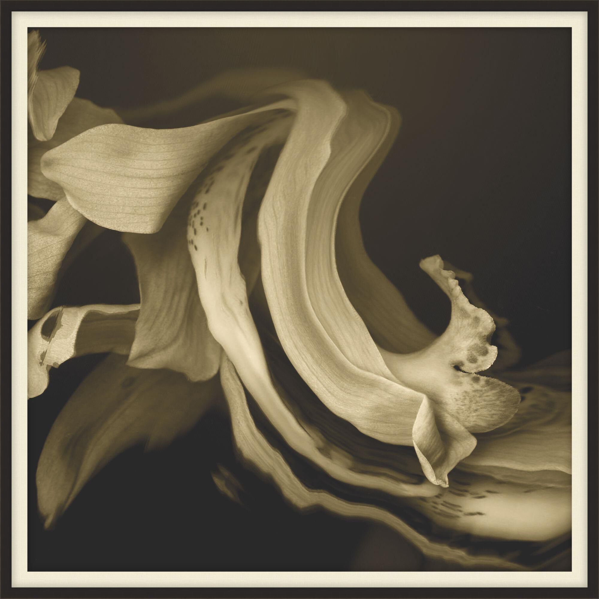 Fresh Folds Print by LEVEL57