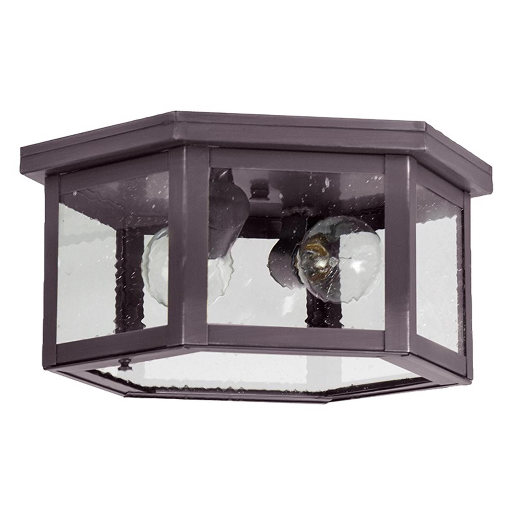 Williams 13 Inch 2 Light Outdoor Flush Mount,