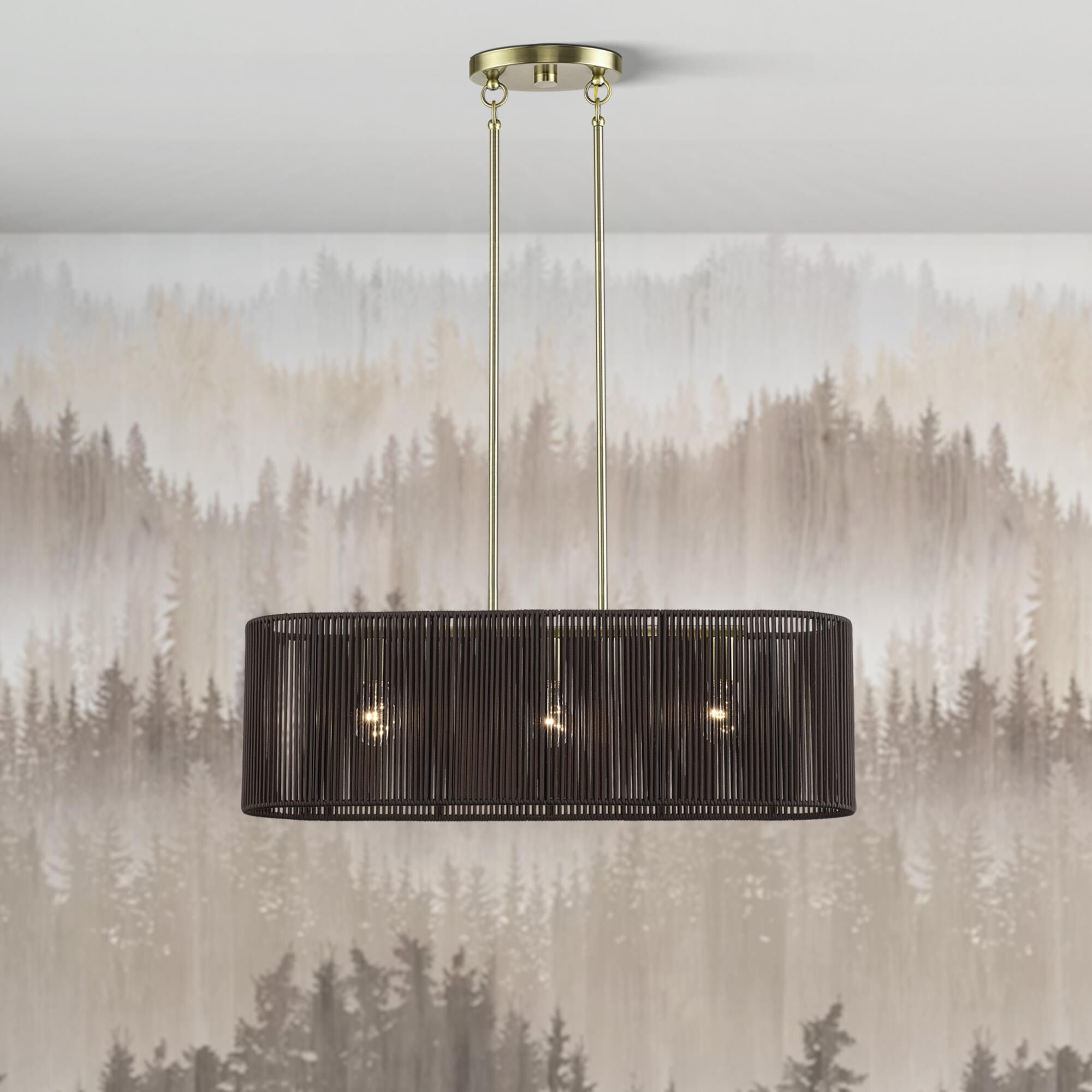 Acordia 30 Inch Linear Suspension Light by Livex Lighting