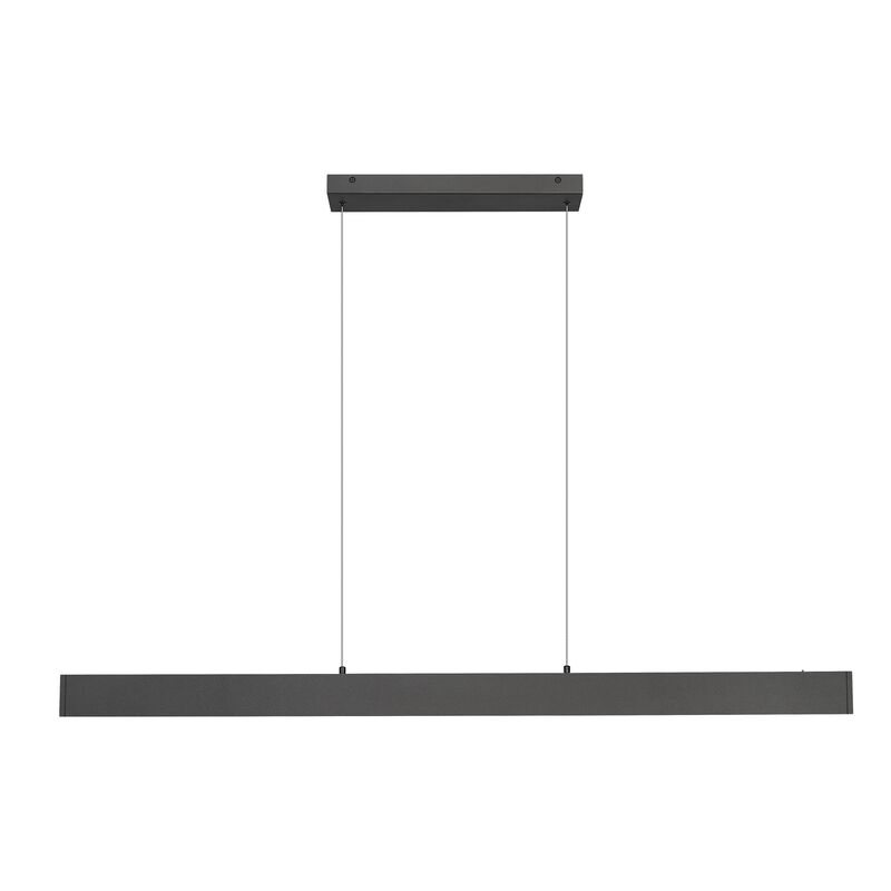 Hudson 55 Inch Linear Suspension Light by Z-lite