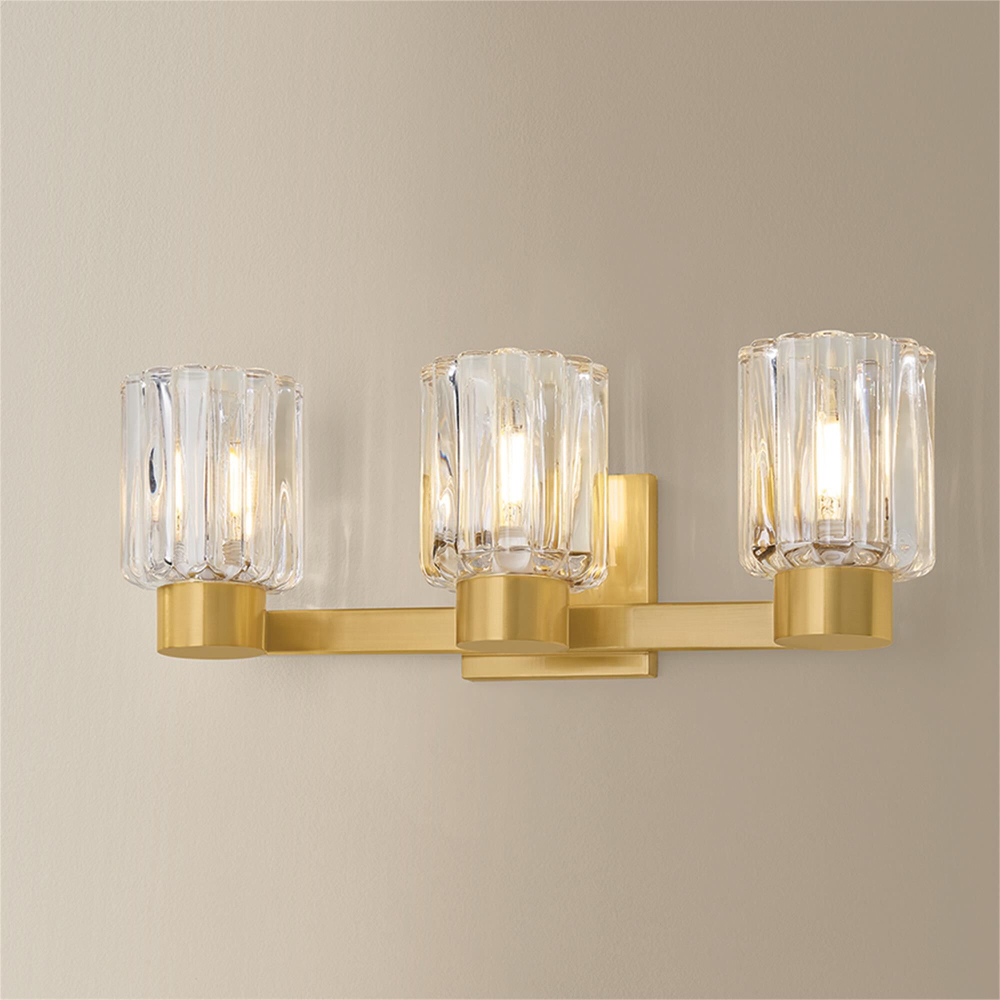 Danae 18 Inch 3 Light Bath Vanity Light,