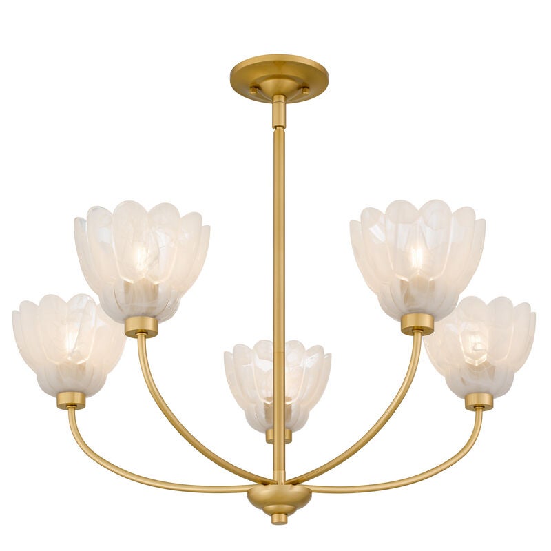 Whitecap 28 Inch 5 Light Chandelier by Quoizel