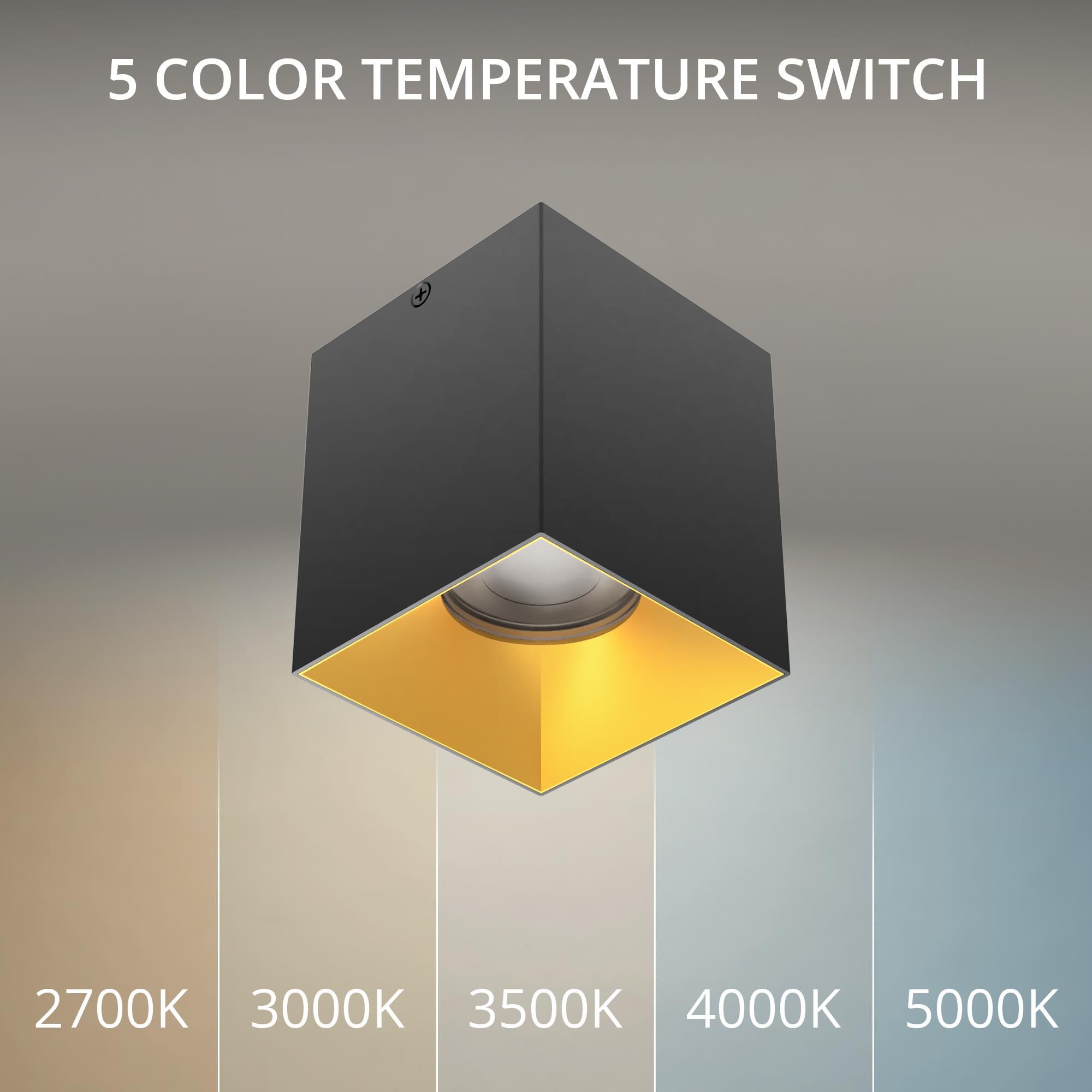 Zoron 4 Inch Outdoor Flush Mount by WAC Lighting