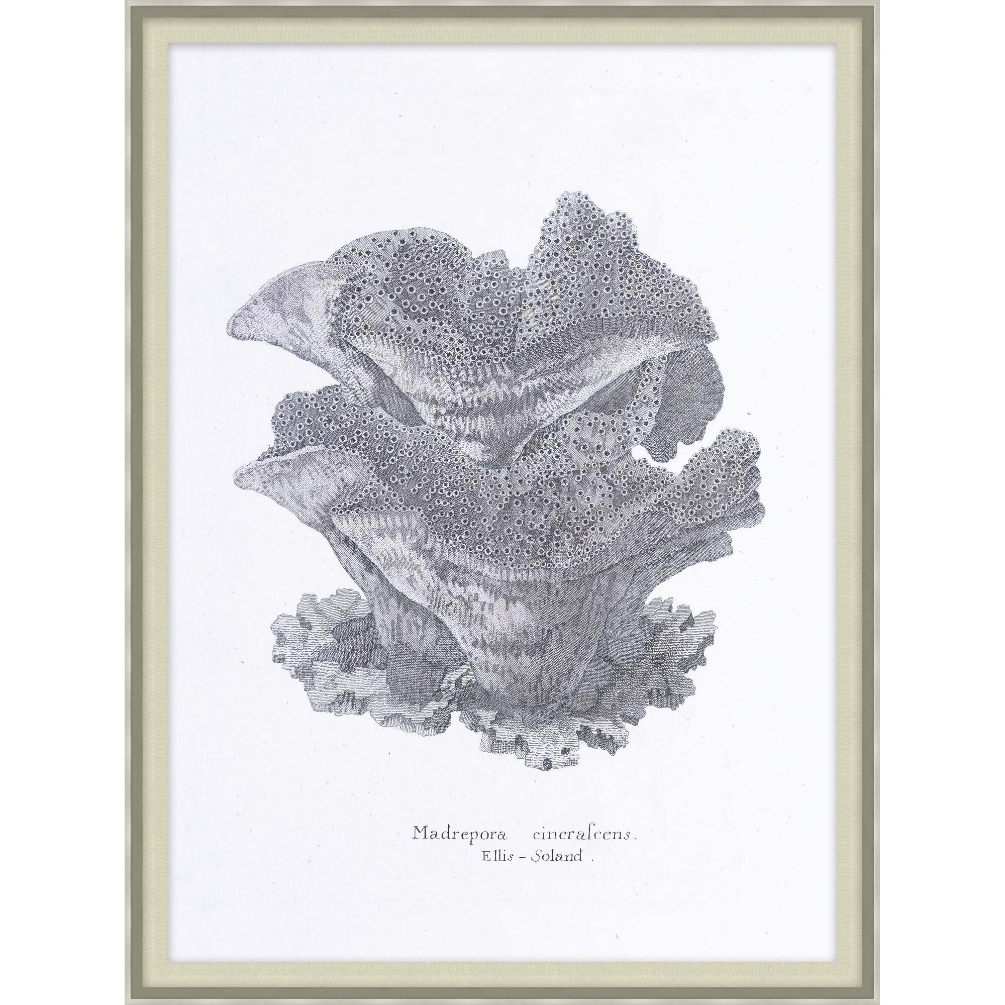 Cultivated Antiquity Print by LEVEL57