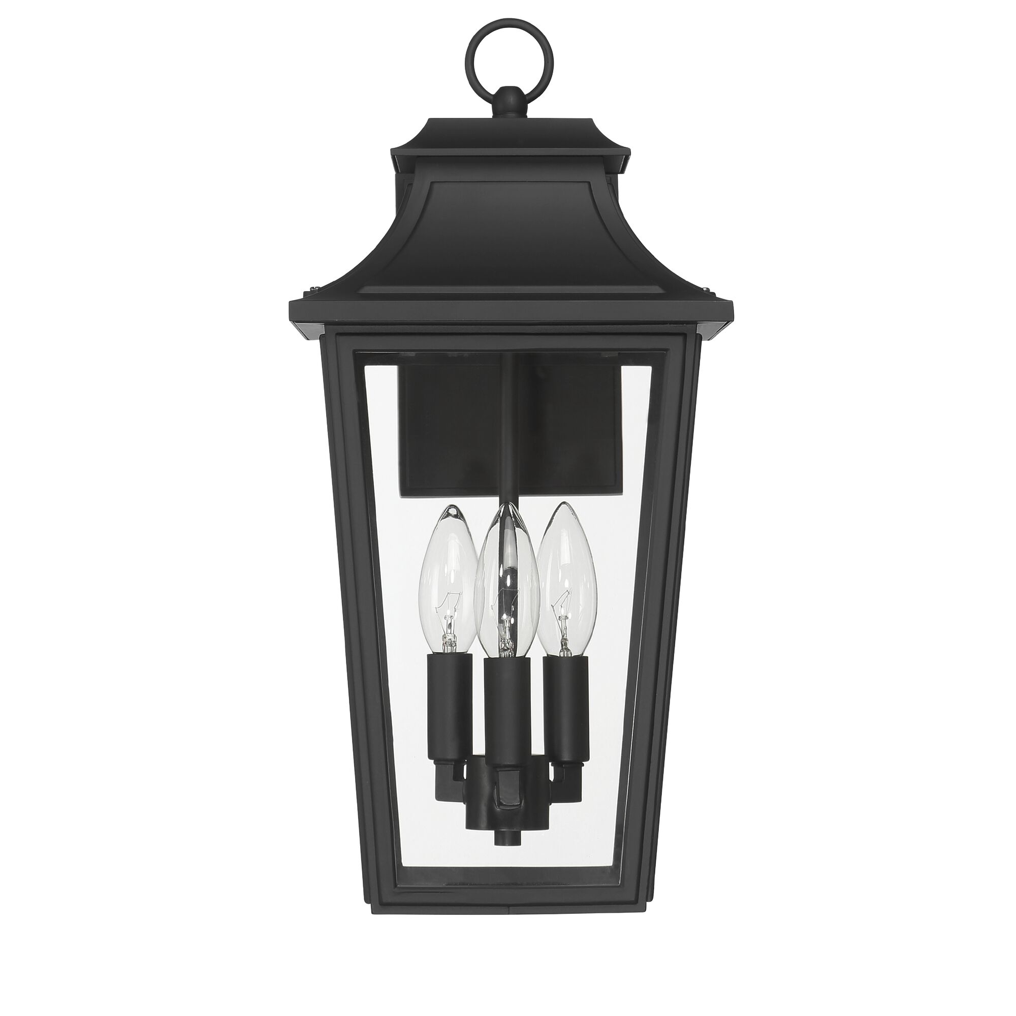 Spring Cove 16 Inch Outdoor Wall Light,