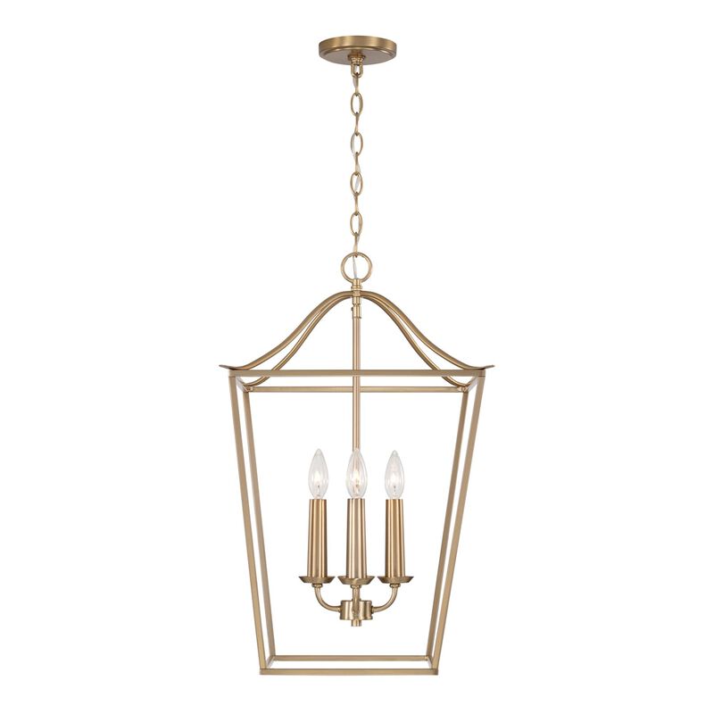 Grady 22 Inch Cage Pendant by Capital Lighting Fixture Company