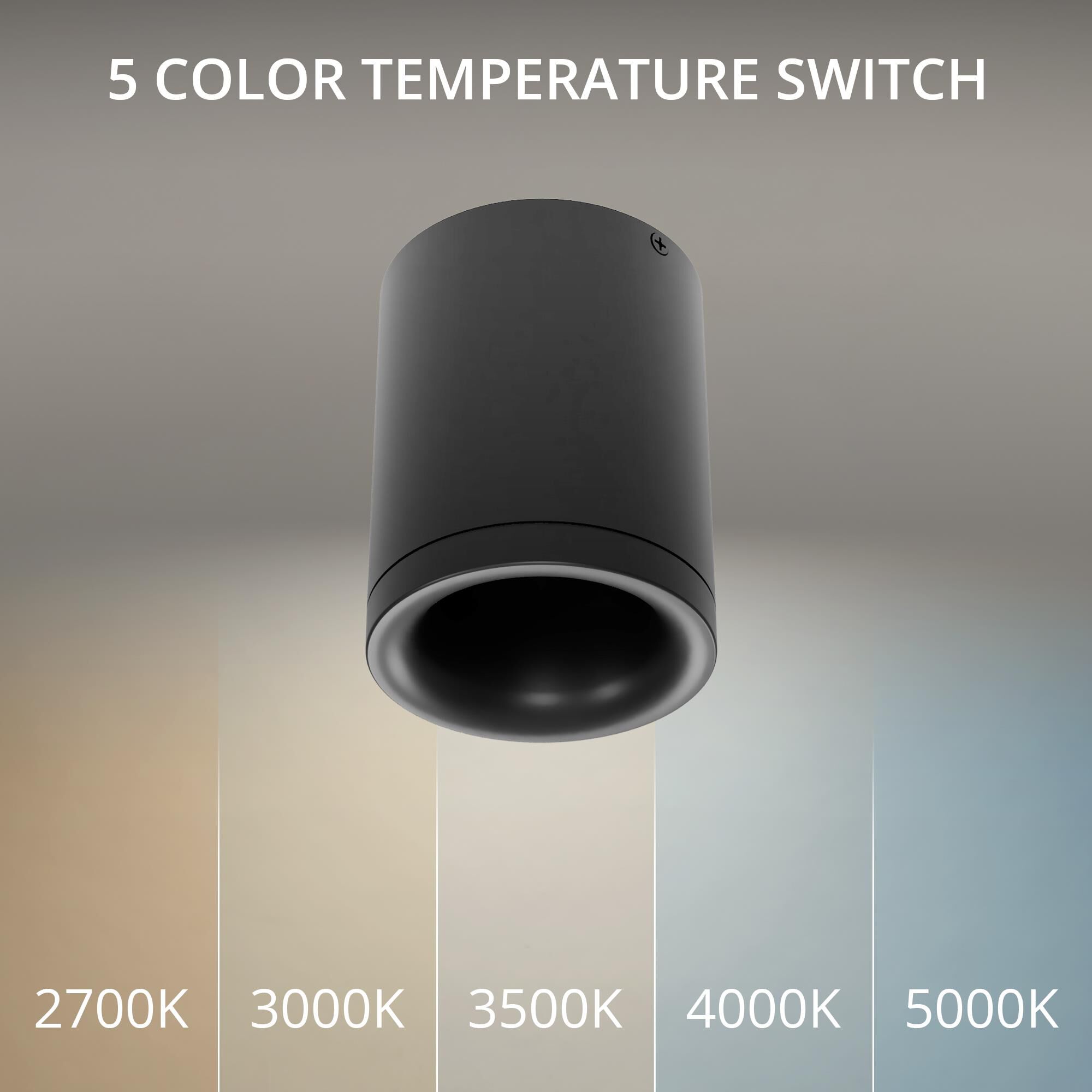 Zoron 4 Inch Outdoor Flush Mount by WAC Lighting