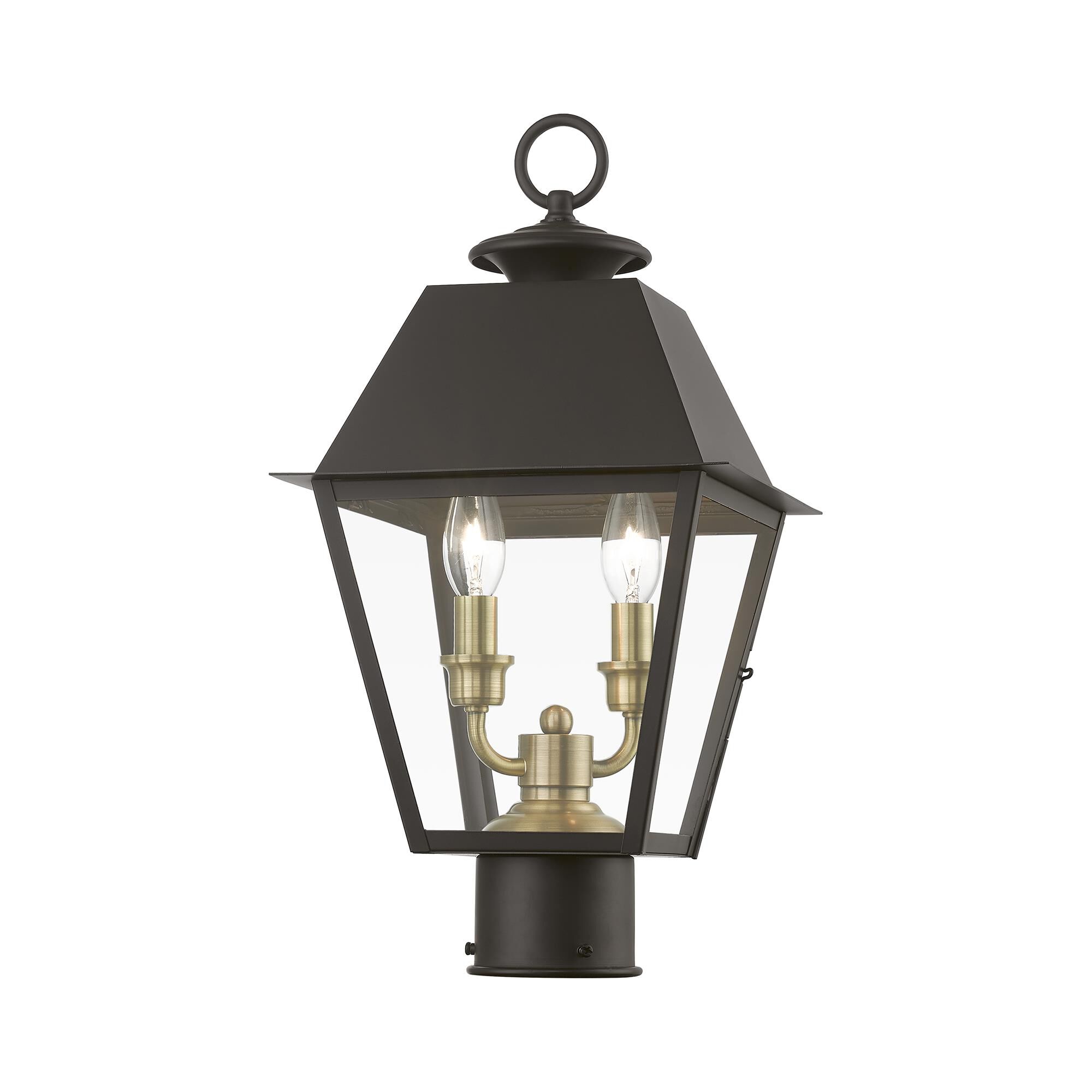 Shown in Bronze with Antique Brass Finish Cluster finish and Clear glass