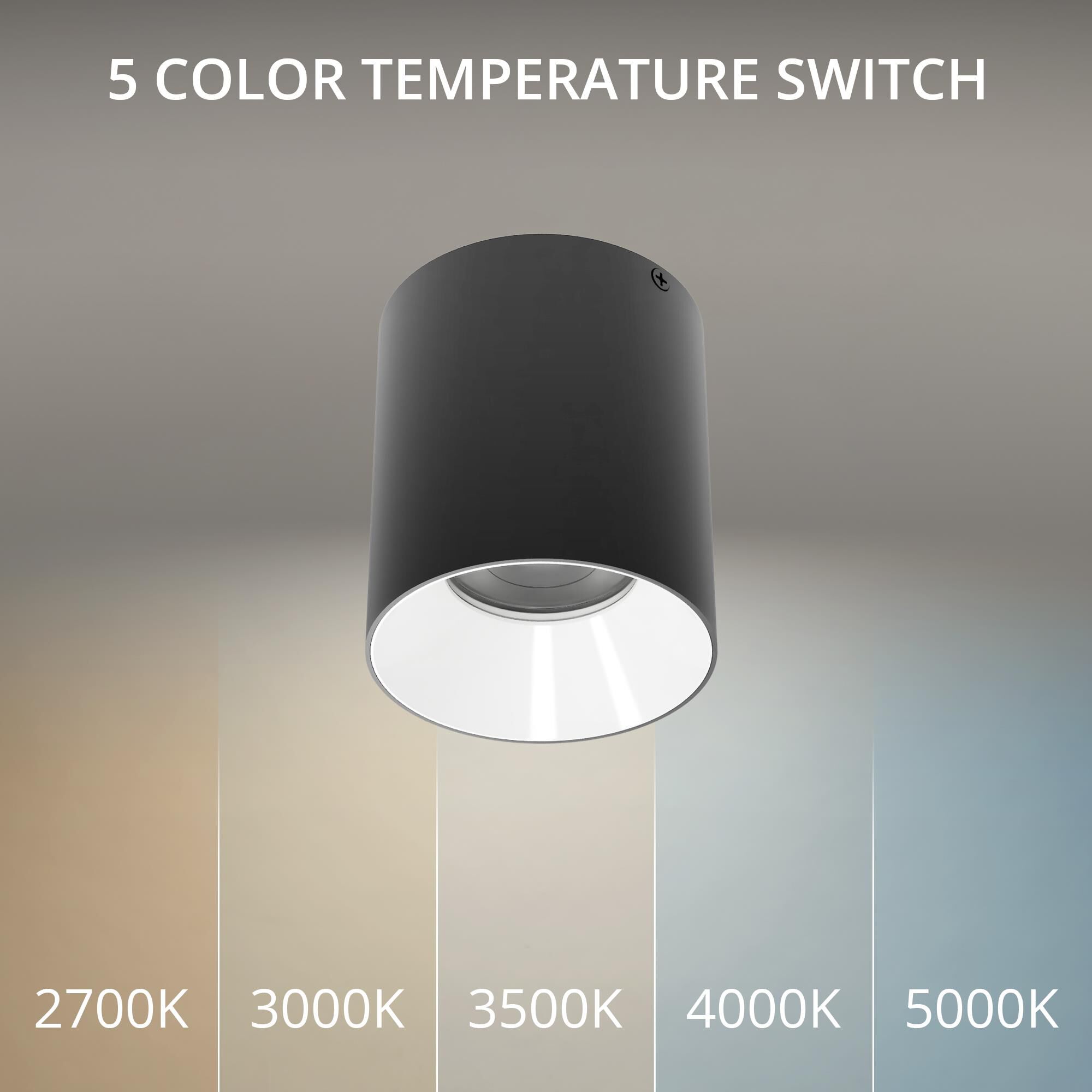 Zoron 4 Inch Outdoor Flush Mount by WAC Lighting