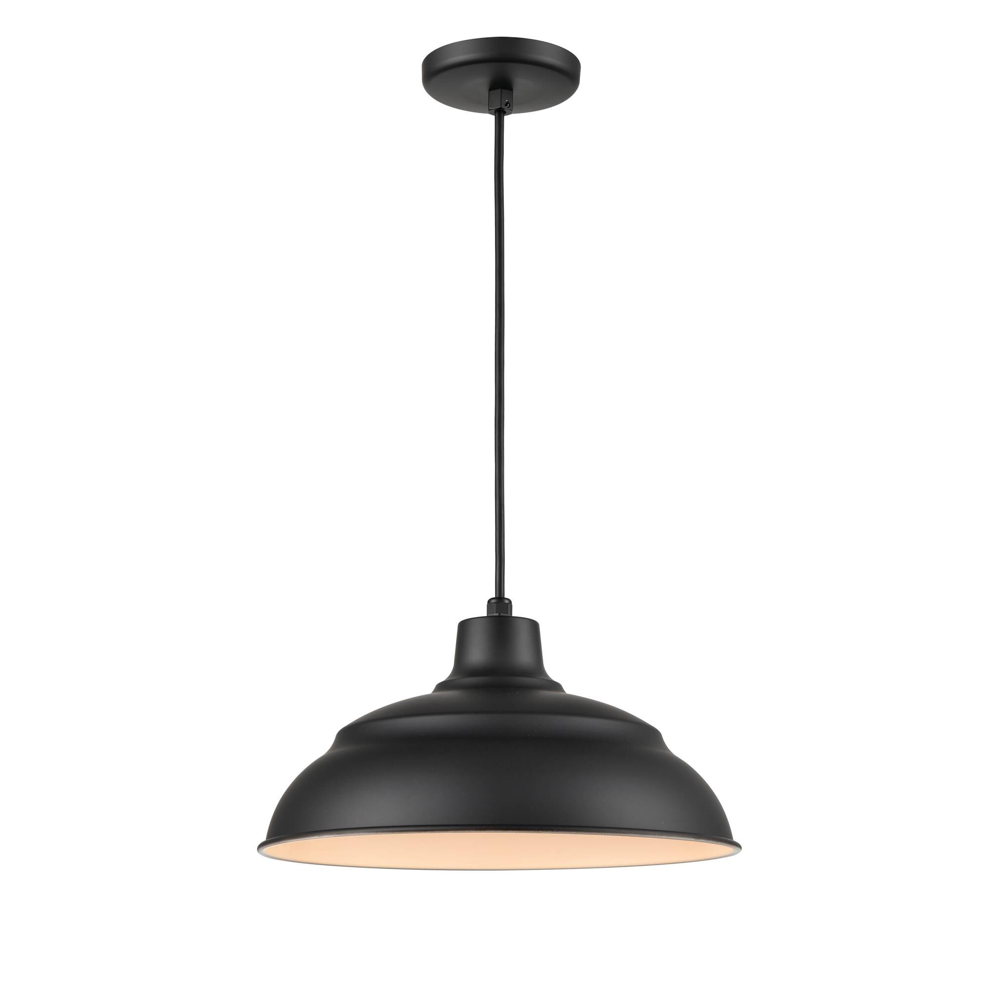 R Series Large Pendant by Millennium Lighting