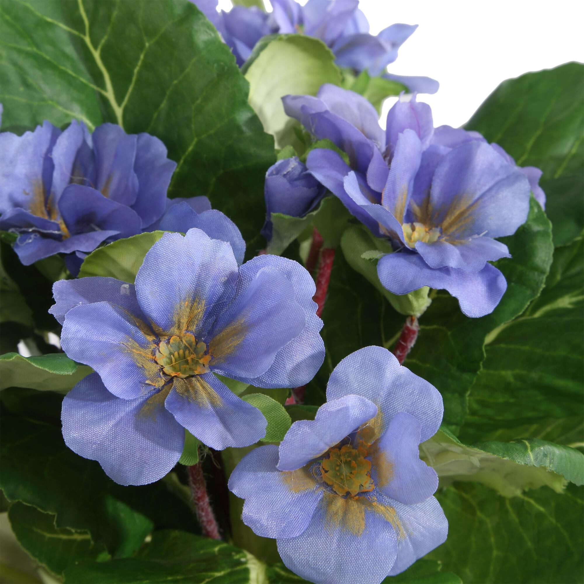 Constance Lael-Linyard Trilogy Primrose 11 Inch Botanical by Uttermost