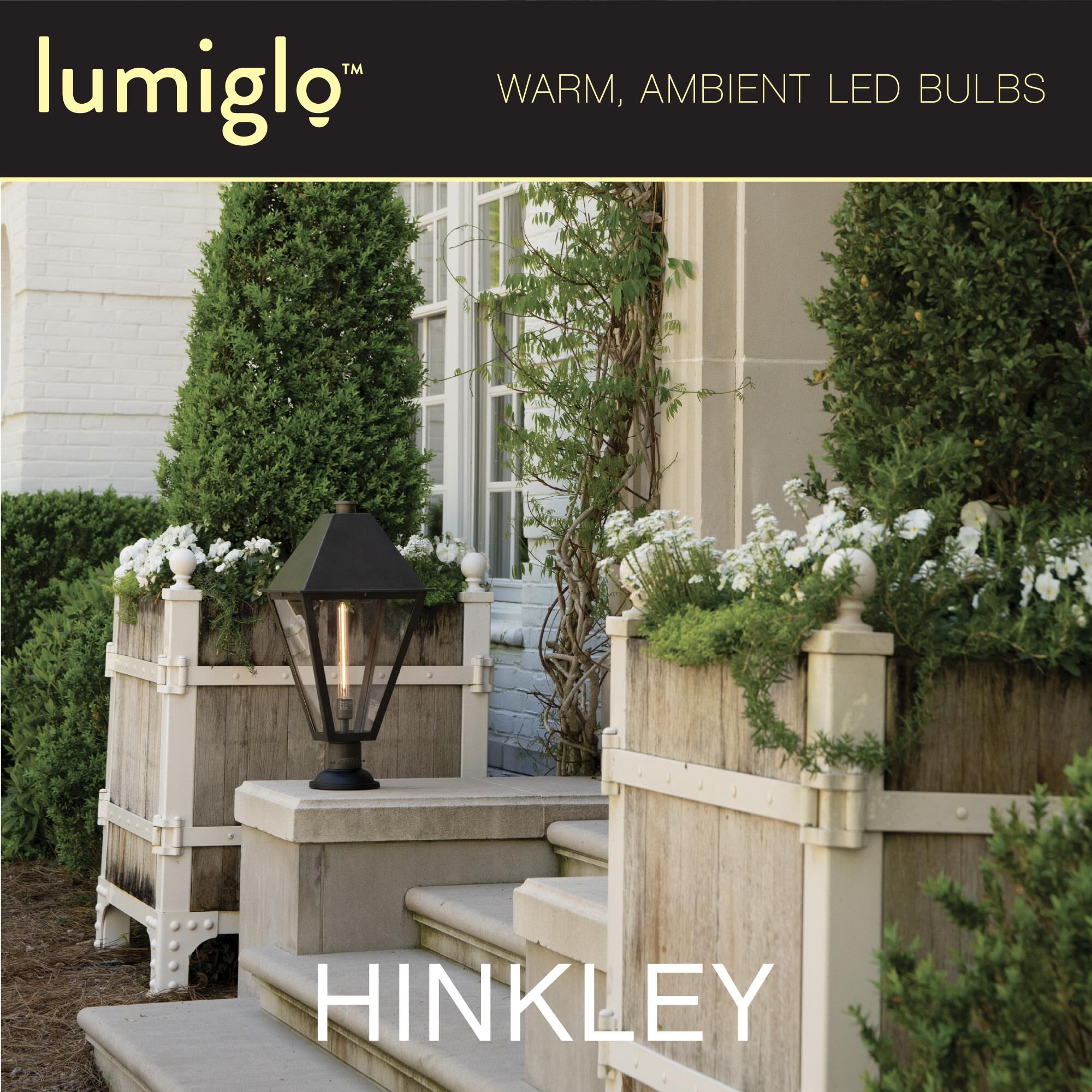 LumiGlo Dimmable 4 Watt 2400K LED Light Bulb by Hinkley Lighting