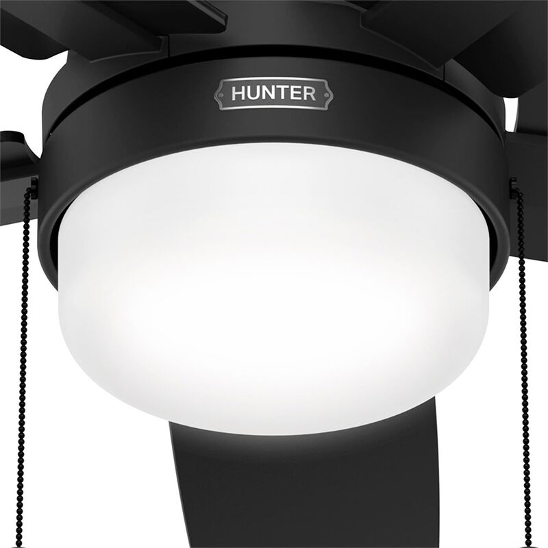Anisten 52 Inch Ceiling Fan with Light Kit by Hunter Fan