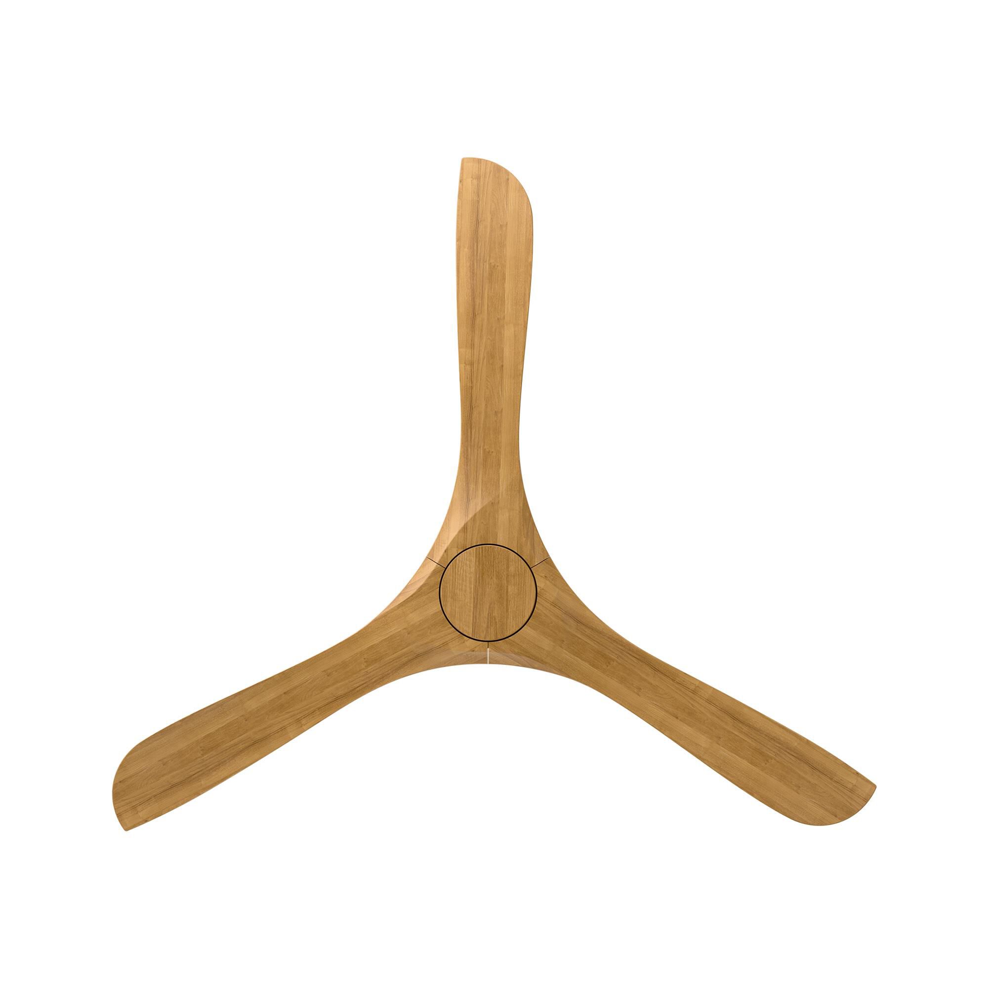 Carve 60 Inch Ceiling Fan by Modern Forms