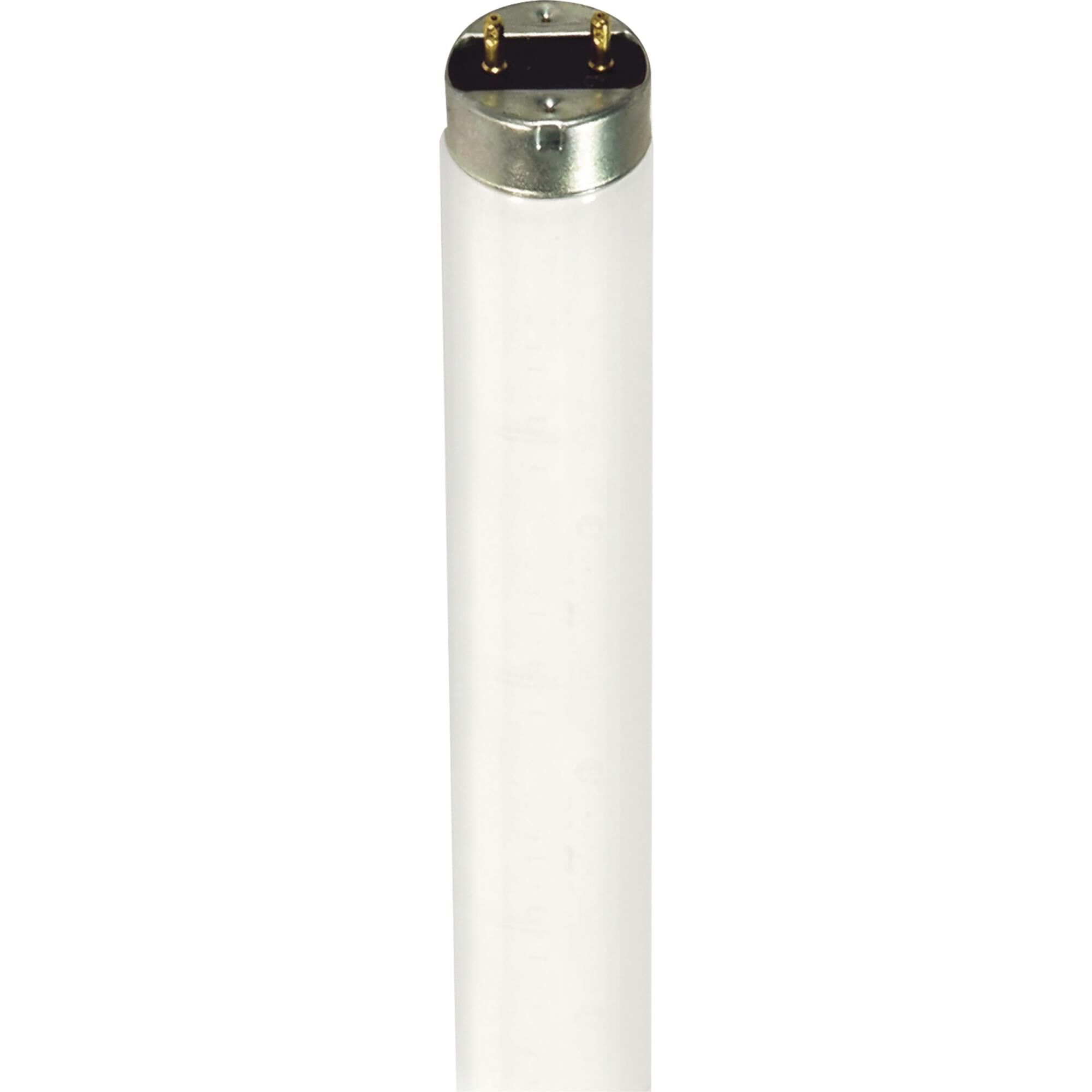 32 Watt 4100K T8 Fluorescent Light Bulb by Satco
