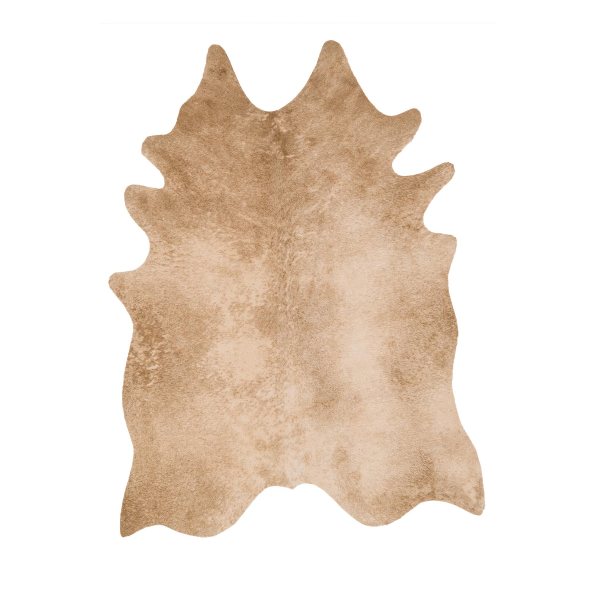 Grand Canyon Area Rug by Loloi Rugs