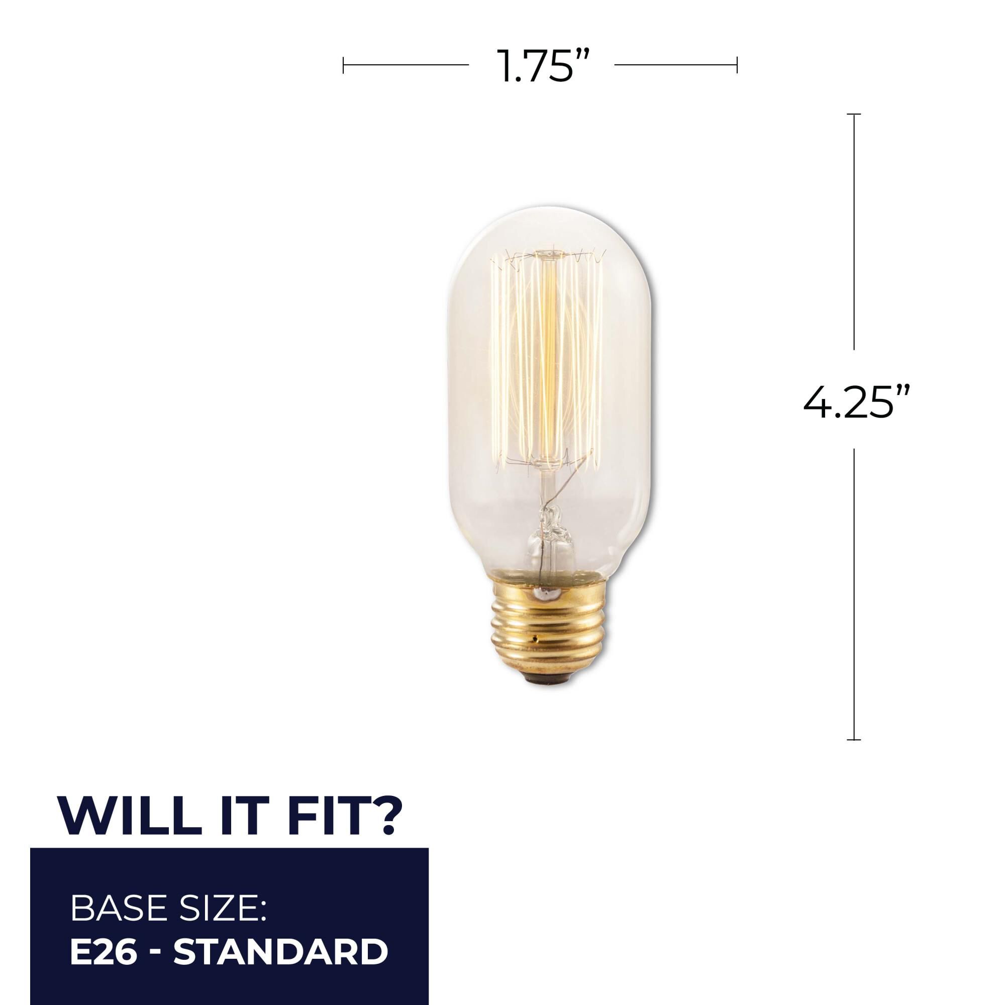 40 Watt 2200K T14 Incandescent Light Bulb by Bulbrite