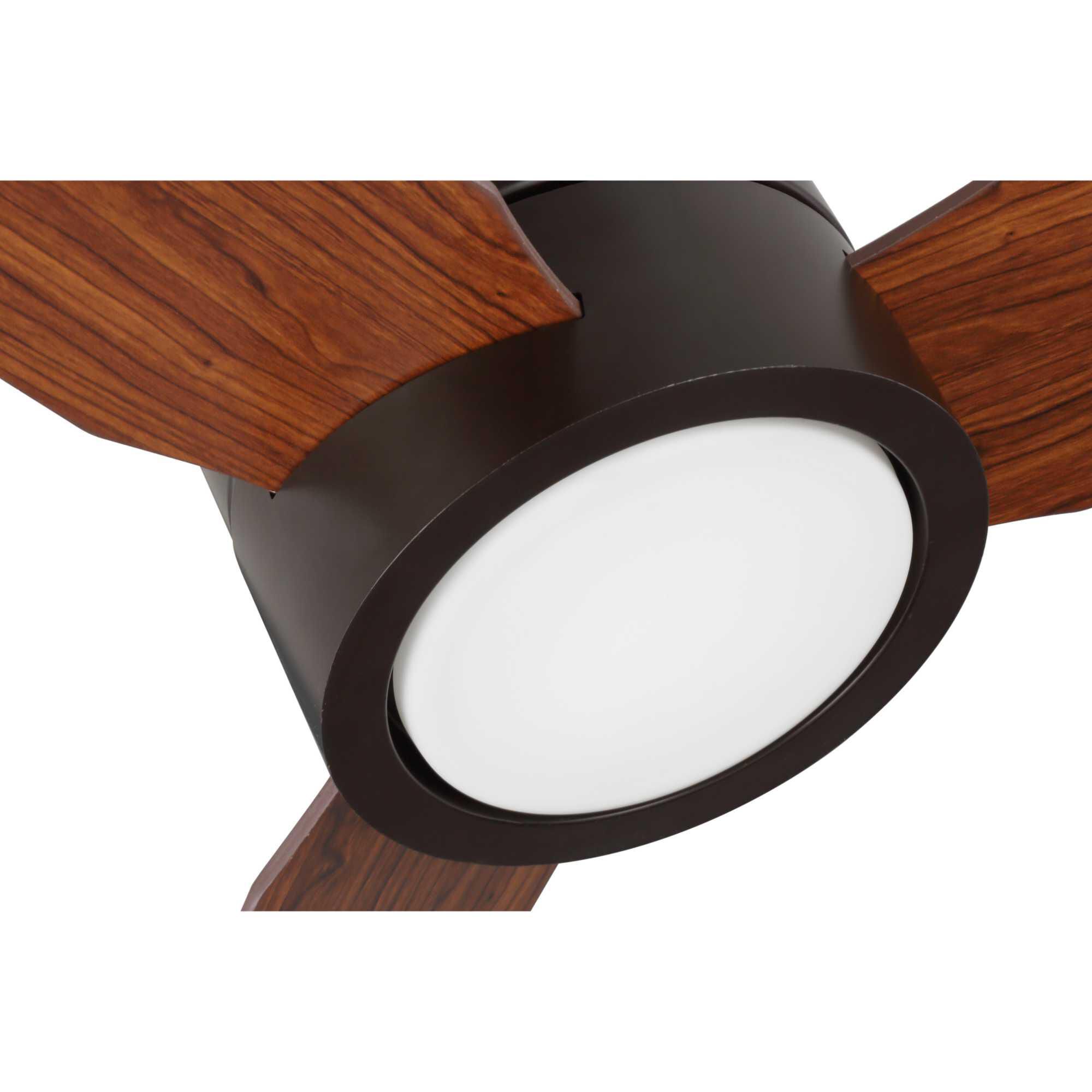 Braden 56 Inch Ceiling Fan by Progress Lighting