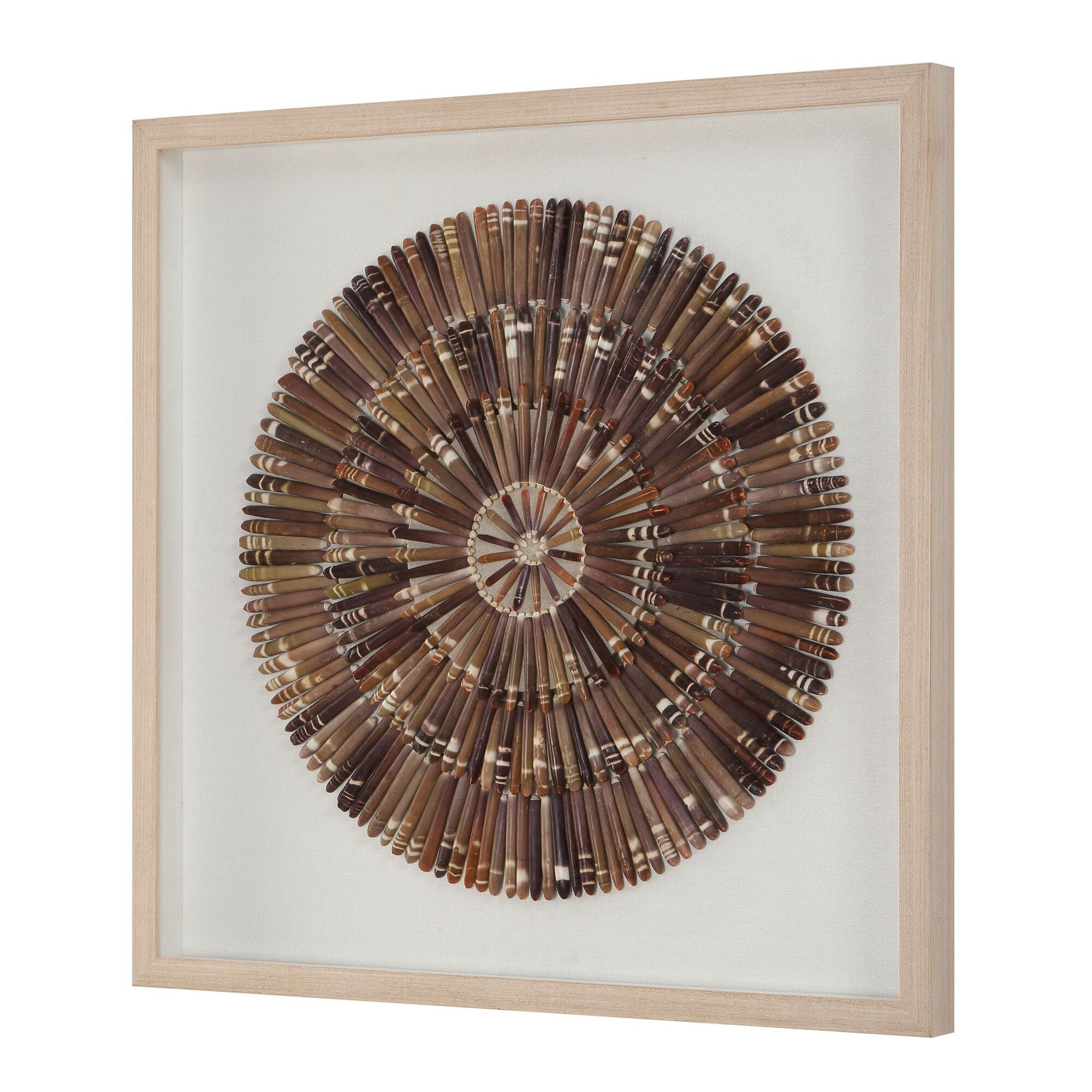 Tiger Sea Urchin Alternative Wall Art,