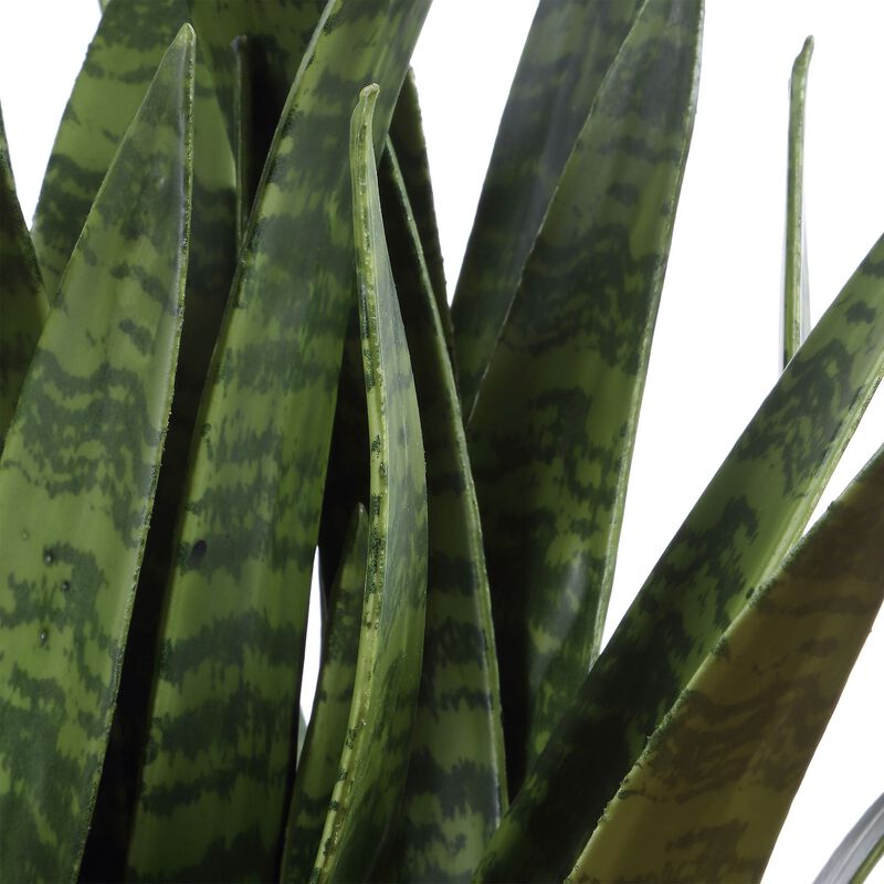 Sansera Snake Botanical by Uttermost