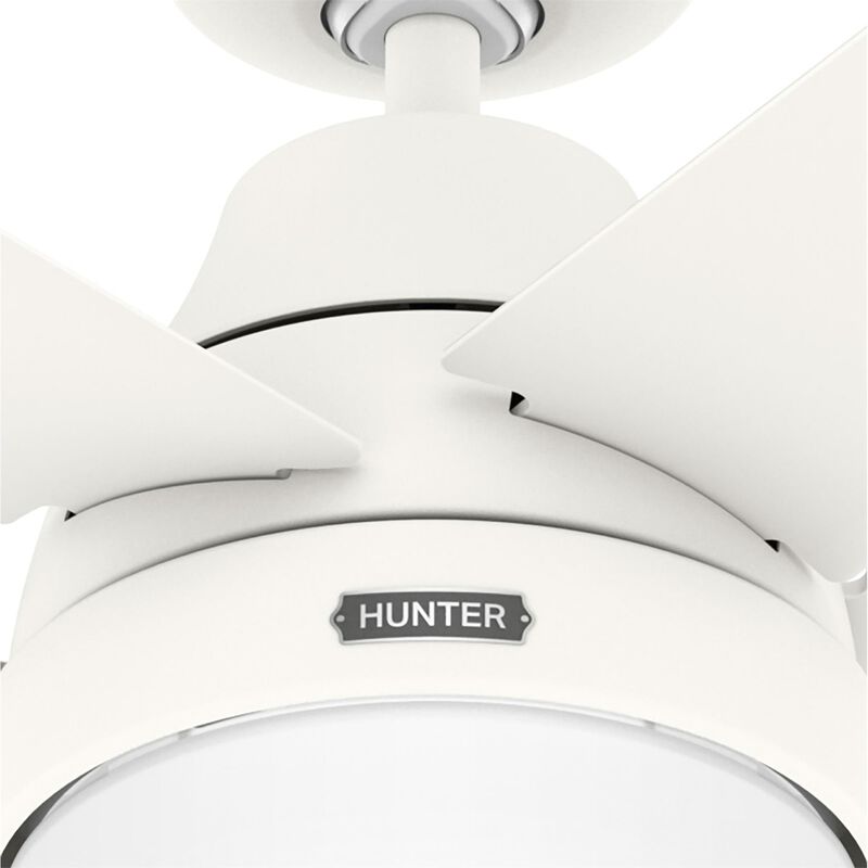 Aerodyne 60 Inch Ceiling Fan with Light Kit by Hunter Fan