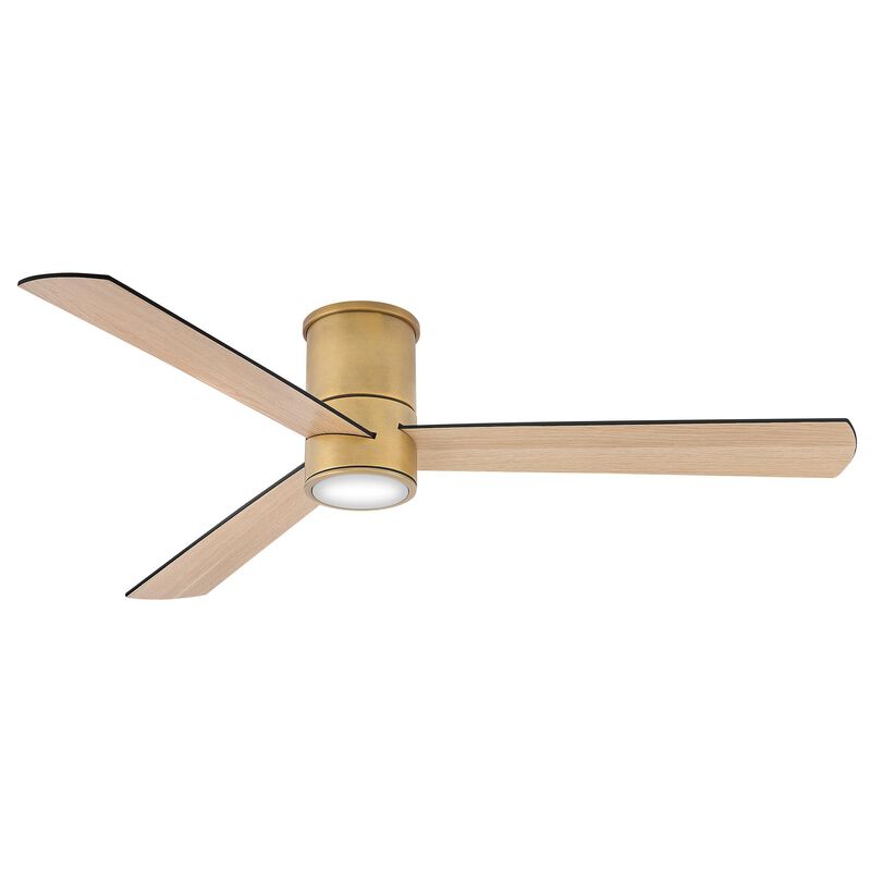 Speck 52 Inch Flush Mount Fan with Light Kit by Hinkley