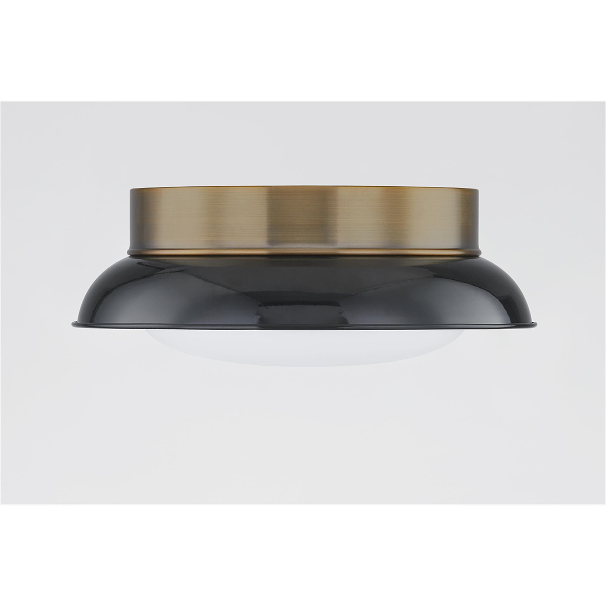 Arnie 14 Inch 2 Light Flush Mount,