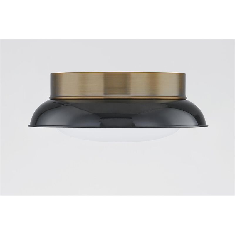 Arnie 14 Inch 2 Light Flush Mount by Troy Lighting